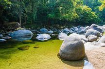 Luxury Daintree - Cape Tribulation Tour from Port Douglas