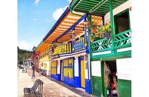 Cocora, Salento and Filandia Tour