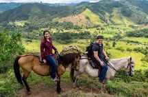 Cocora, Salento and Filandia Tour