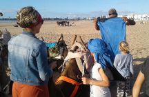 3-hour camel ride at sunset