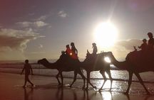 3-hour camel ride at sunset