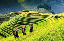 Sapa 2 days 1 night trekking Lao Chai Ta Van - Fansipan mountain by cable car