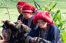 Sapa 2 days 1 night trekking Lao Chai Ta Van - Fansipan mountain by cable car