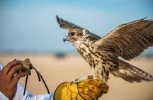 Falcon Hospital Tour with Hotel Pick up & Drop off 