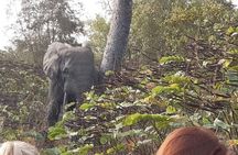 3 Days Trip to Mole National Park 