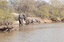 3 Days Trip to Mole National Park 