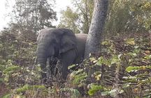 3 Days Trip to Mole National Park 