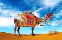 Taj Mahal With Rajasthan Desert Tour 15 Days Ex. Delhi