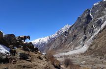 Langtang Valley trek