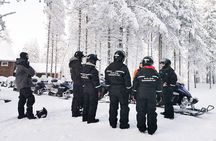 1-Hour Snowmobile Safari Experience 