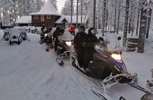 1-Hour Snowmobile Safari Experience 
