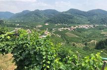 Prosecco and Cheese Tasting. From Venice. Full day