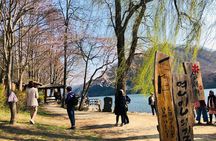Nami Island+Alpaca+Gapyeong Rail Bike+Garden of Morning Calm