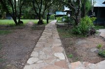 7 Days Mara/L.Naivasha/L.Nakuru/Amboseli