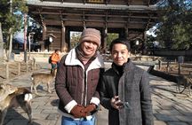 Nara 8hr Private Tour - Kyoto DEP. with Licensed Guide