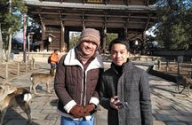 Nara 6hr Private Tour with Government-Licensed Guide