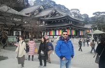 Kamakura Zen Temples and Gardens Private Trip with Government-Licensed Guide