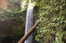 Full Day Volcano, Waterfalls, Rice terraces and Temple Tours