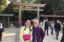 Tokyo 6hr Private Tour with Government-Licensed Guide