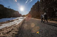 5-Day Northern Lights Hunt & Glacier Lagoon Tour