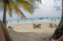 Isla Saona Daily Experience from Punta Cana with lunch