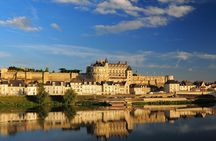 Day Tour of Chateaux of Chenonceau & Chambord from Tours/Amboise