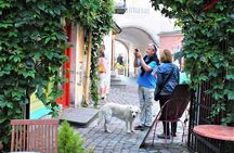 Private 2.5-Hour Tour of Tallinn Old Town in a Spacious Mercedes Minivan