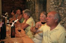 Korcula Island Mountain E Bike Private tour with lunch