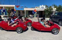 Love Buggy Island Tour with Lunch