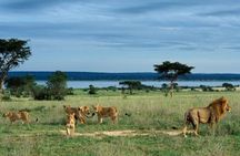 3 Days Murchison Falls - Budget 