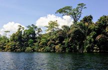 Mangrove & Gandoca Lagoon