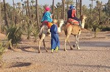Marrakech Desert Camel Ride