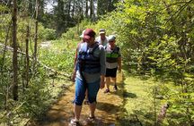 Kelleys Island Kayak Treasure Tour