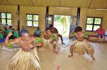 Jewel Of Fiji incl Fijian Village, waterfall & Lunch(Nadi Hotels)