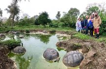 The Galapagos Giant Tortoise Experience | Los Gemelos | Shared