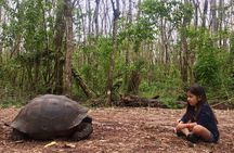 The Galapagos Giant Tortoise Experience | Los Gemelos | Shared