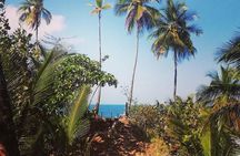 Hike in the Gandoca-Manzanillo Refuge