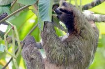 Hike in the Gandoca-Manzanillo Refuge