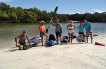 Kayak adventure through the mangroves 