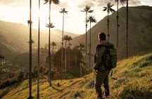 Cocora Valley Tour and Santa Rita Waterfall