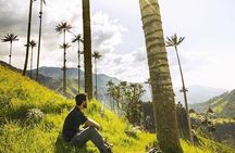 Cocora Valley Tour and Santa Rita Waterfall