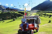 Tour Cocora Valley hummingbird circuit 