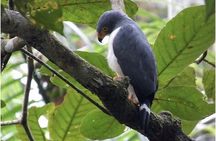 Hike in the Gandoca-Manzanillo Refuge