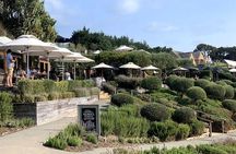 Waiheke Island Vineyards and Bush Walk
