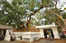 Anuradhapura Ancient City Tuk Tuk Tour