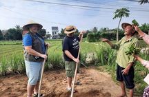 Hoi An Village Experience Tour & Lantern Making Class 
