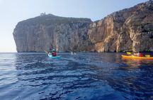 Half Day Sea Kayak Trip