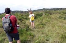 Lake Naivasha Day Trip