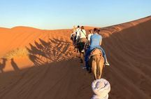 Sahara Desert 3 days trip from Marrakech to Fez 
