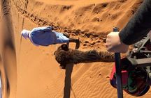 Sahara Desert 3 days trip from Marrakech to Fez 